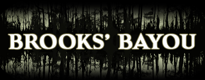 Brooks's Bayou